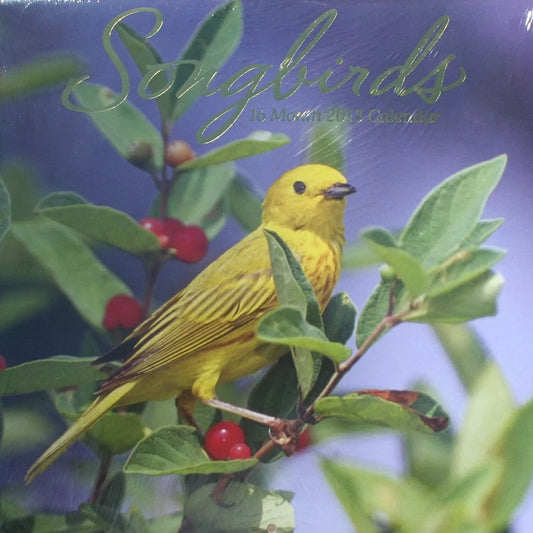 2013 Songbirds Calendar (12 x 12)