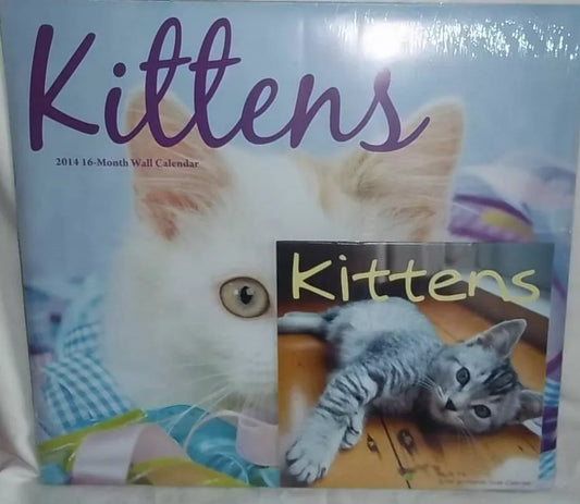 2014 Kittens 16 Month Wall Calendar Small & Large