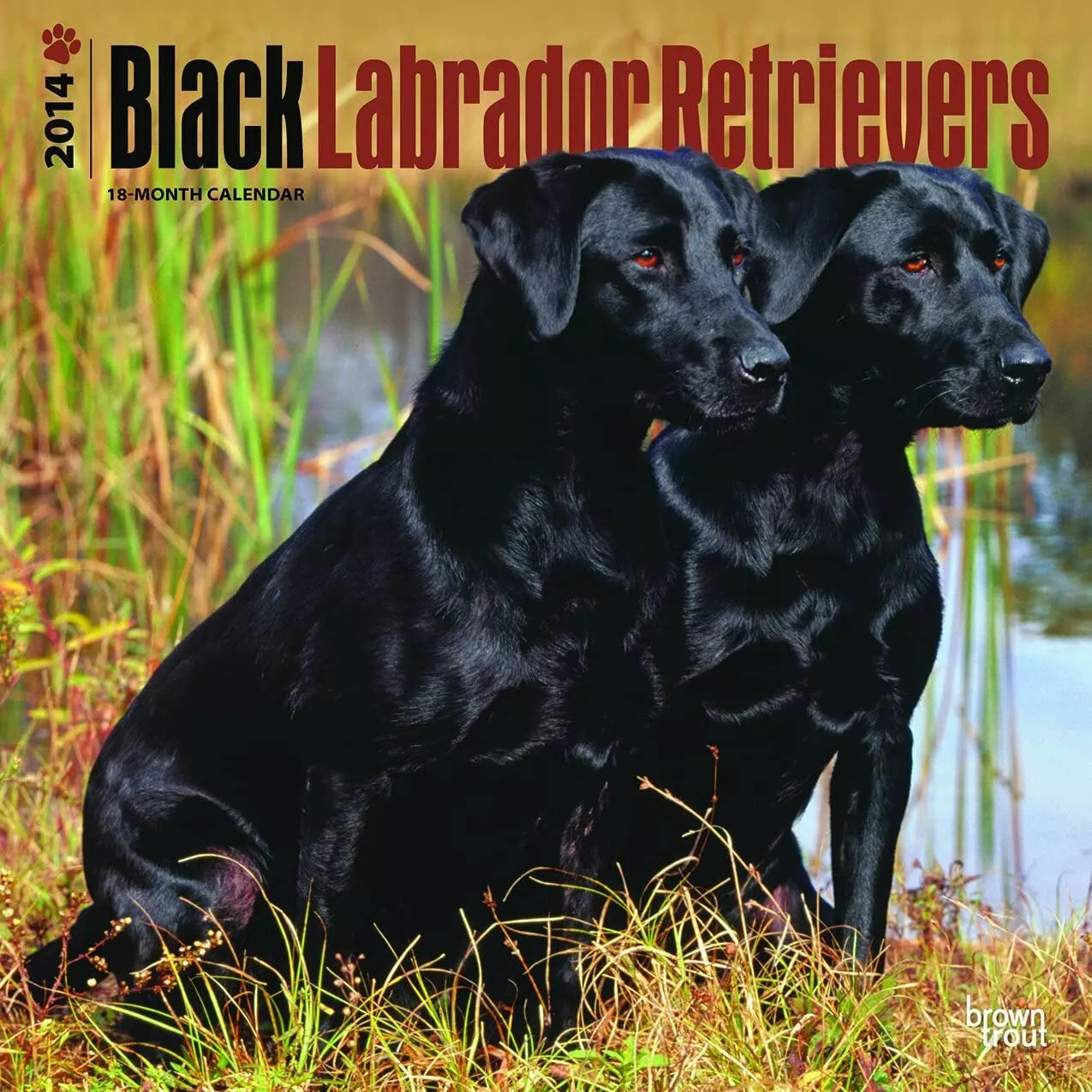 Labrador Retrievers, Black - 2014 Calendar