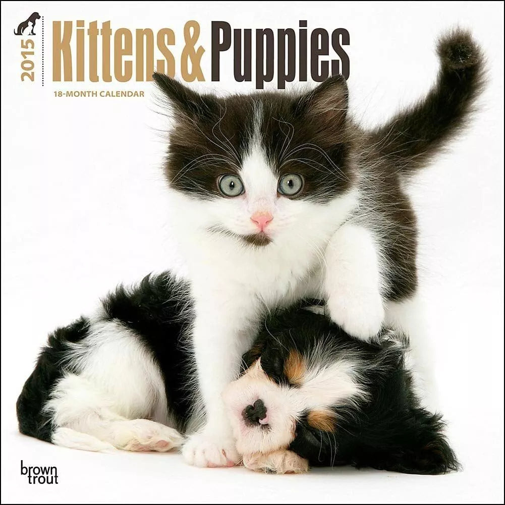 Kittens & Puppies 2015 Wall Calendar