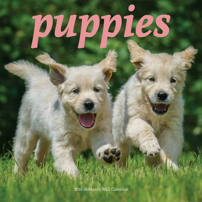 Avalon Summit 2016 Calendar, Mini Puppies