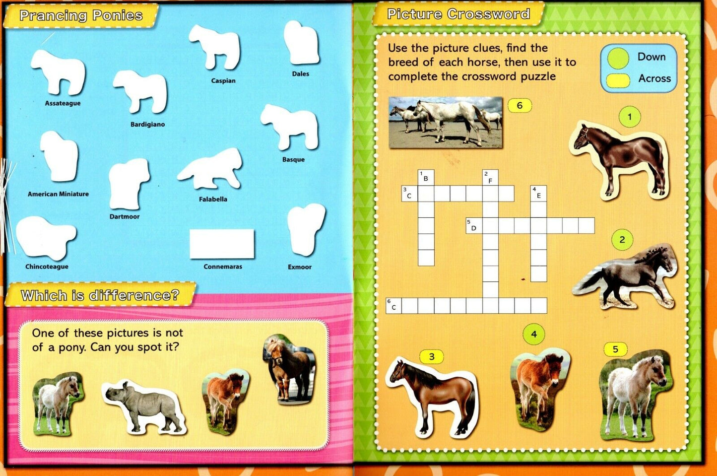 Horses & Ponies - Sticker Activity Book - More Than 100 Reusable Stickers Inside