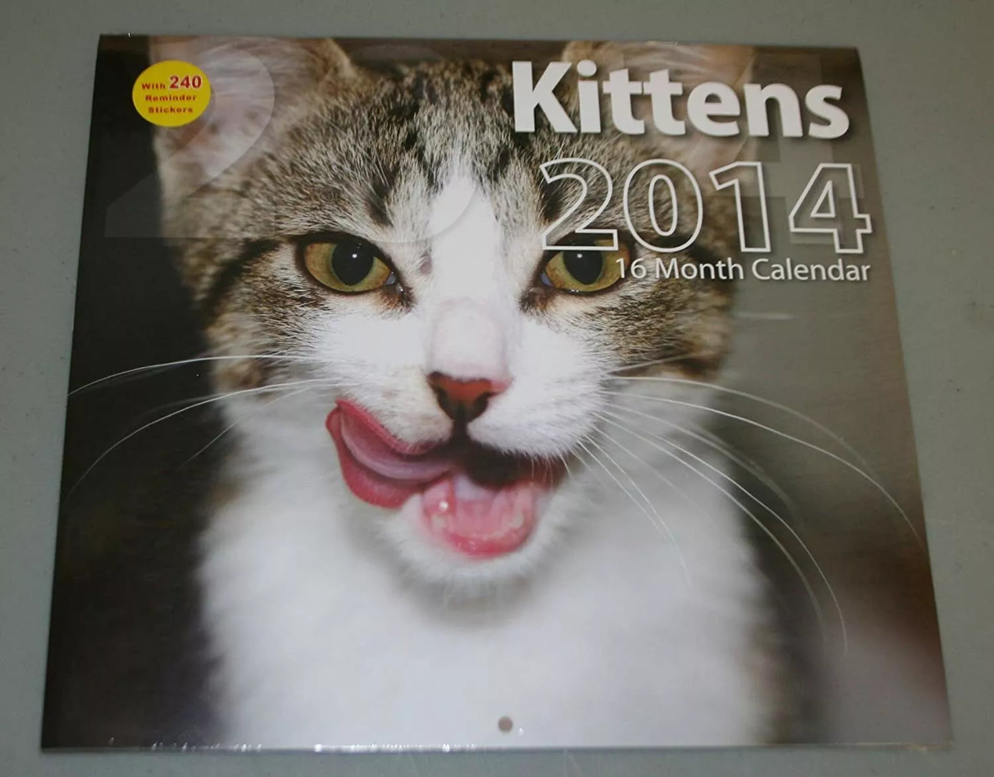 2014 ~ 16 Month Calendar 12" X 11" (Kitties)