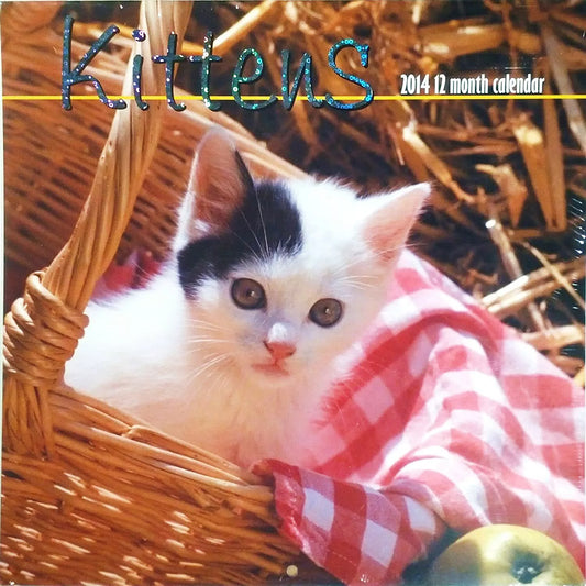 1 X Kittens 2014 12 Month Calendar