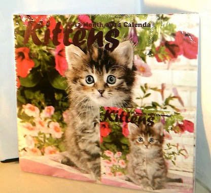 Kittens 2014 12 Month Calendar