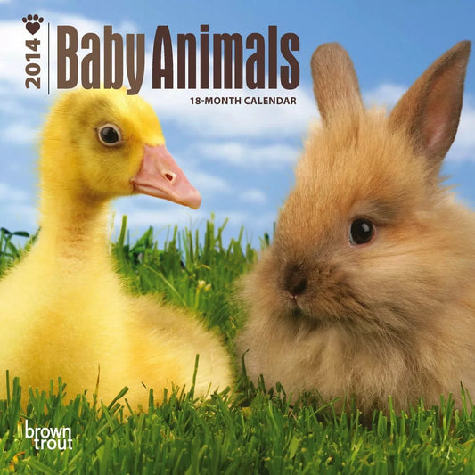 Baby Animals 2014 Calendar