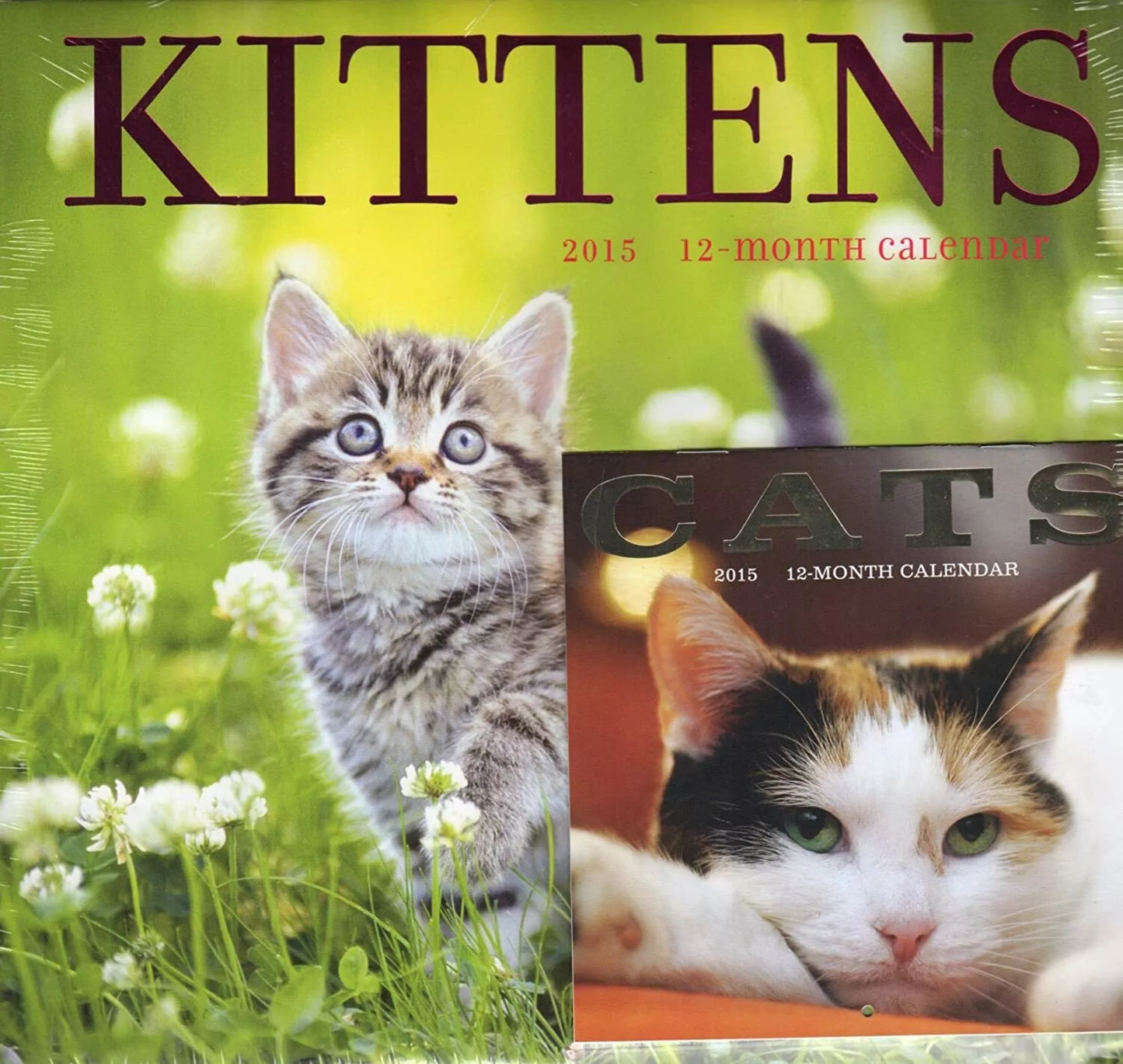 Kittens - 2015 12 Month Calendar Includes 12 Month Mini Calendar