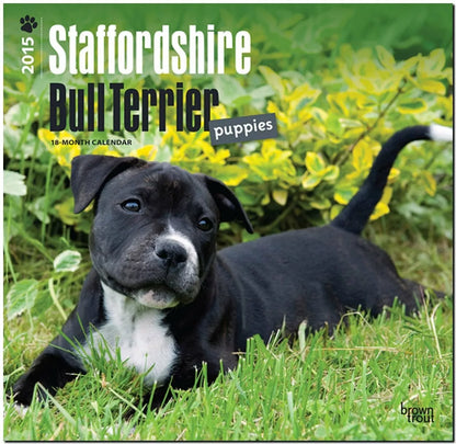 Staffordshire Bull Terrier Puppies 2015 18 Month Calendar