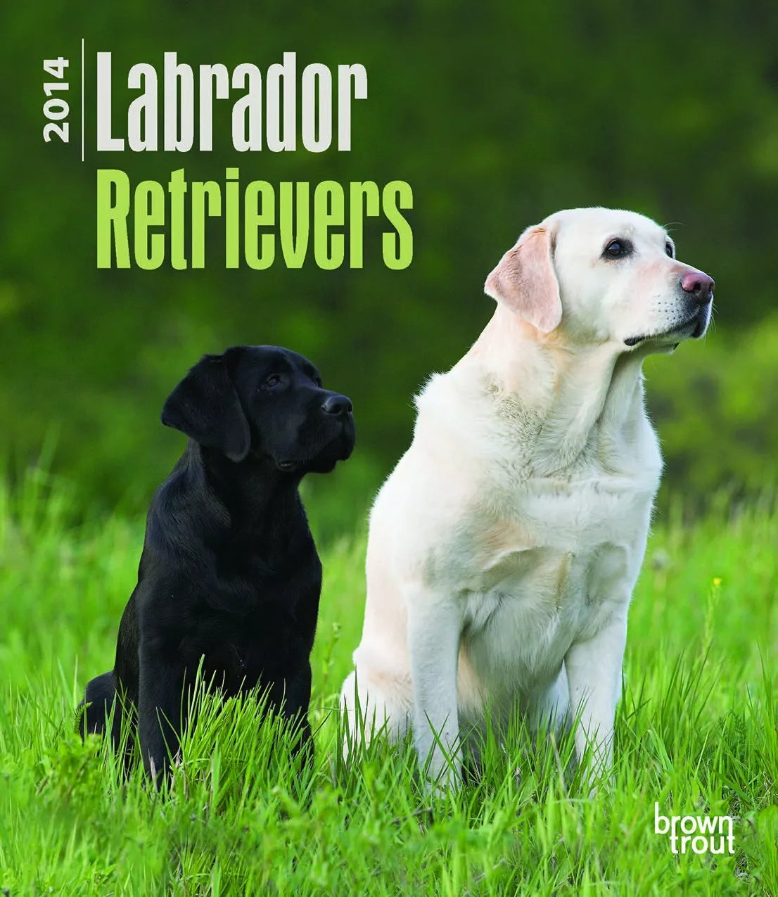 Labrador Retrievers 2014 Calendar