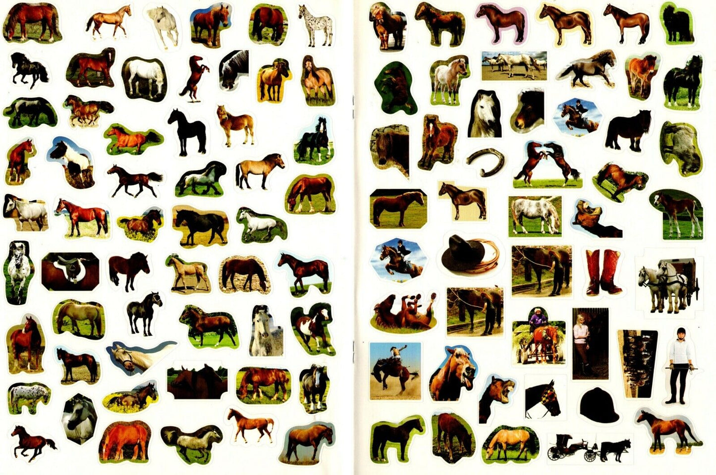 Horses & Ponies - Sticker Activity Book - More Than 100 Reusable Stickers Inside