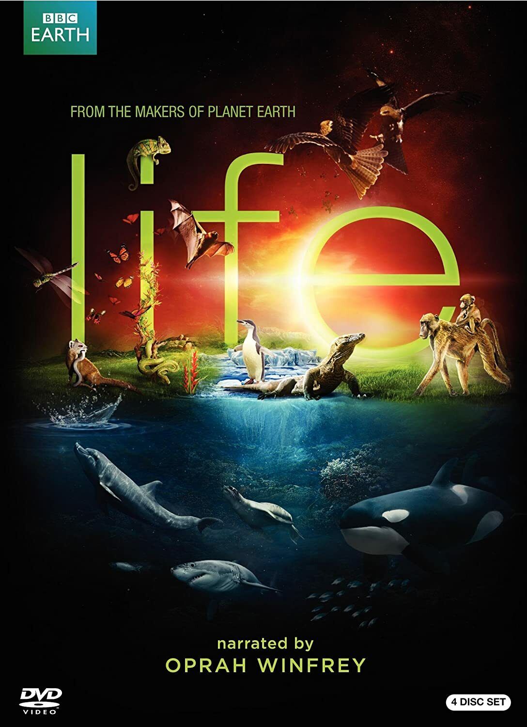 Life (DVD)