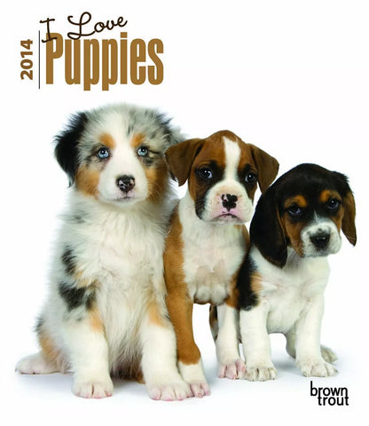 I Love Puppies 2014 Calendar