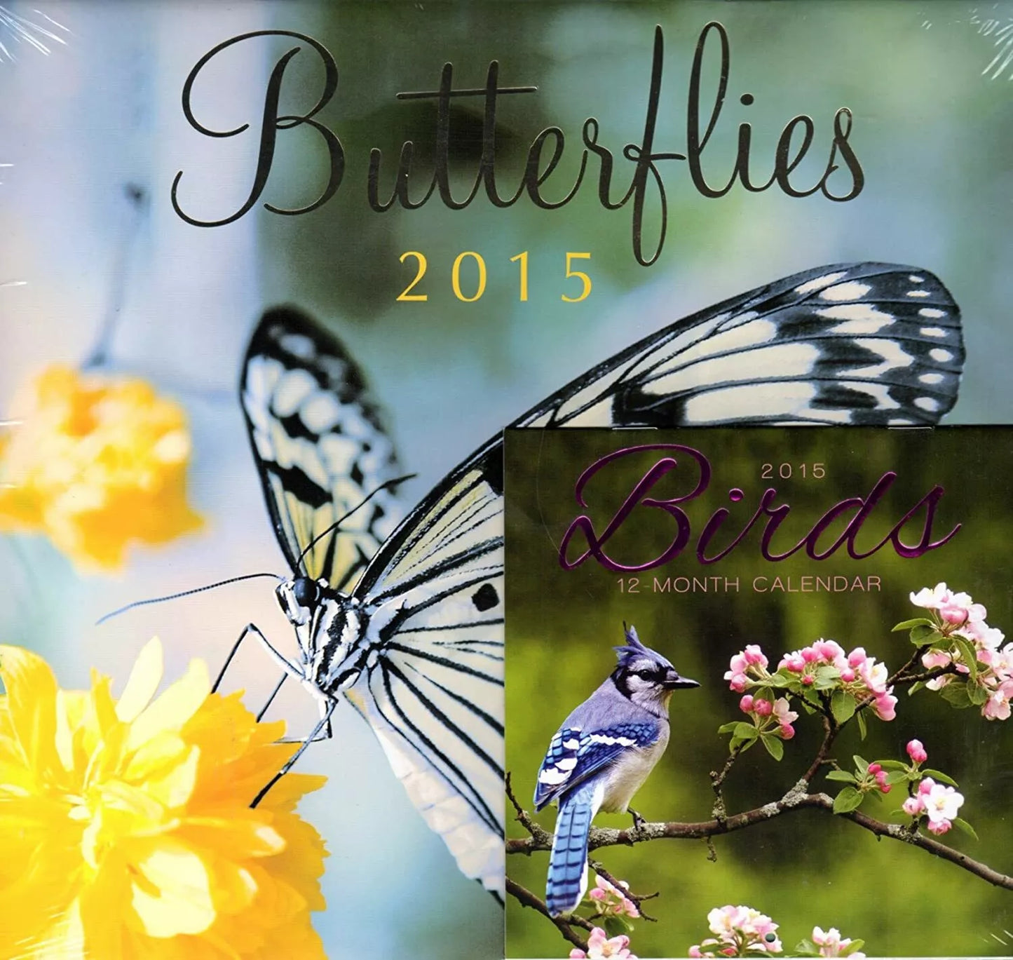 Butterflies - 2015 12 Month Calendar Includes 12 Month Mini Calendar