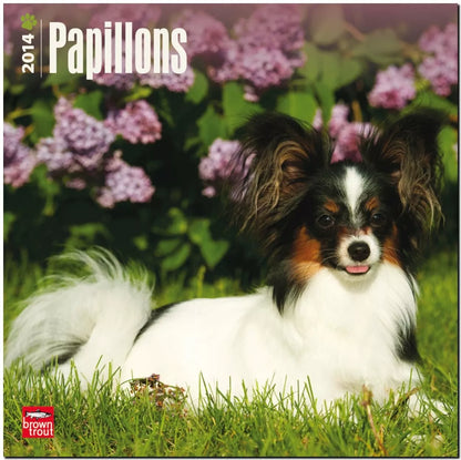 Papillons 18-Month 2014 Calendar