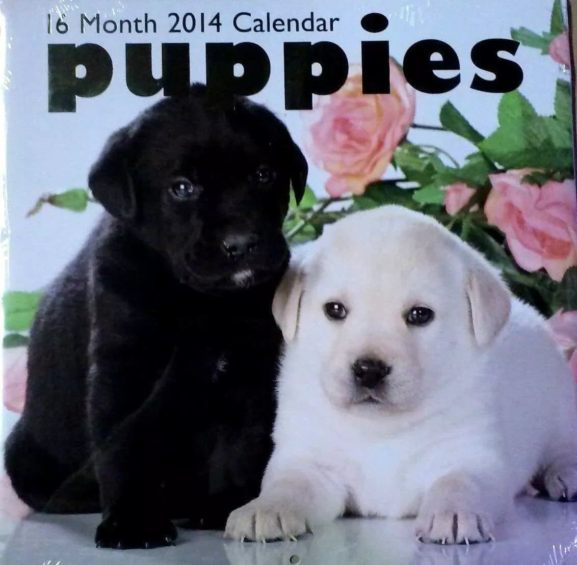 2014 - Puppies 16 Month Wall Calendar - 12x12 - NEW