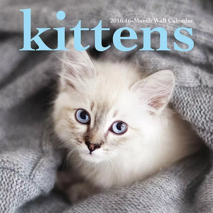 2016 Monthly Wall Calendar -Kittens - by Leap Year Publishing