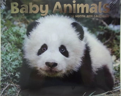 Baby Animals 2014 16-Month Wall Calendar 12in x 12in