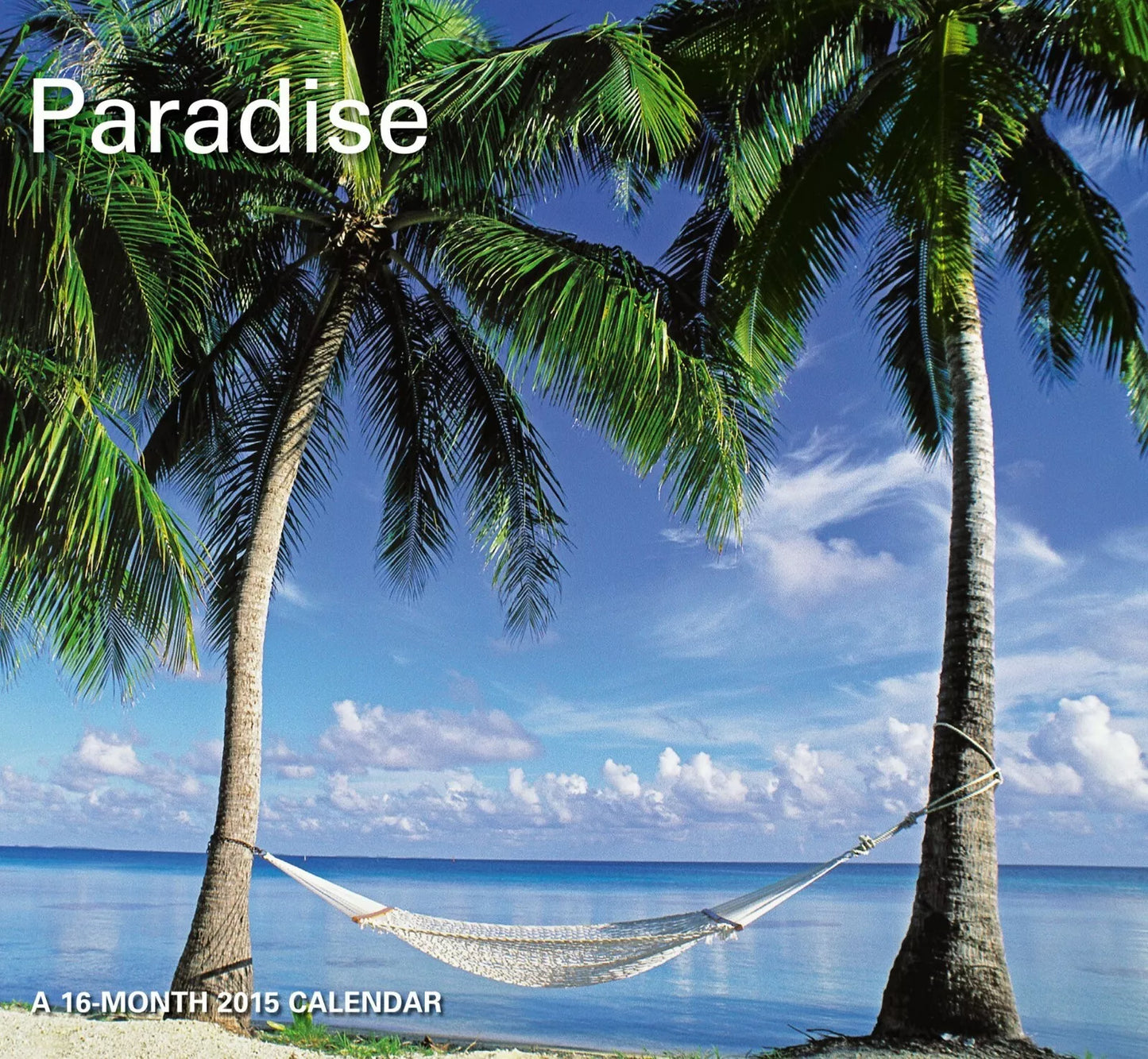 Paradise Mini Calendar (2015)