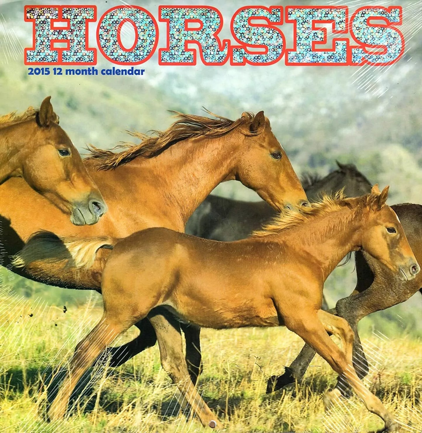 Horses - 2015 12 Month Wall Calendar