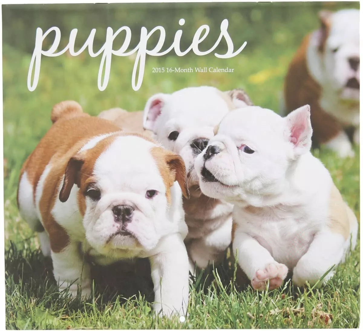 2015 Puppies 12x11 Vista 16-Month Wall Calendar