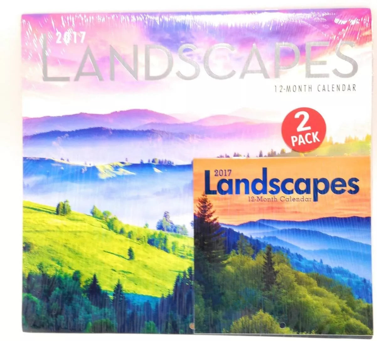 2017 Calendar Landscapes 12" x 12" With Mini Calendar