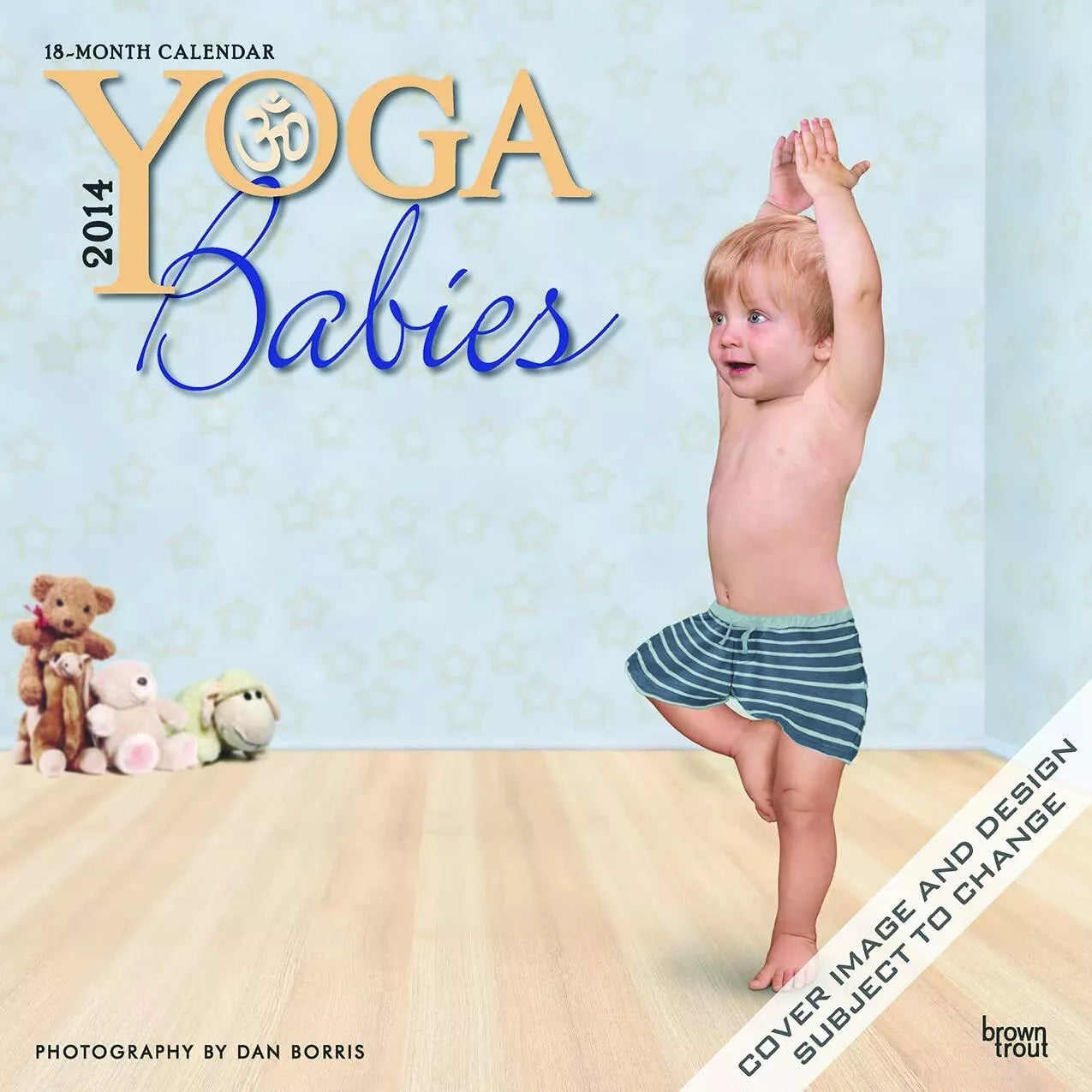 Yoga Babies 2014 Wall Calendar