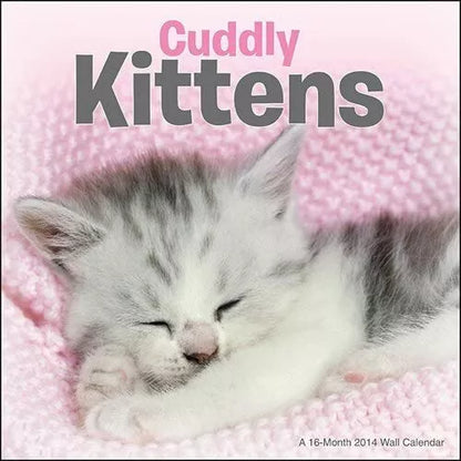 Cuddly Kittens 2014 Wall Calendar