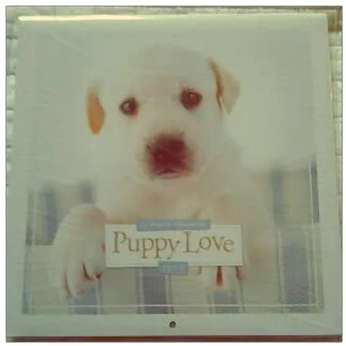 Puppy Love 16 Month 2013 Mini Wall Calendar 6x6