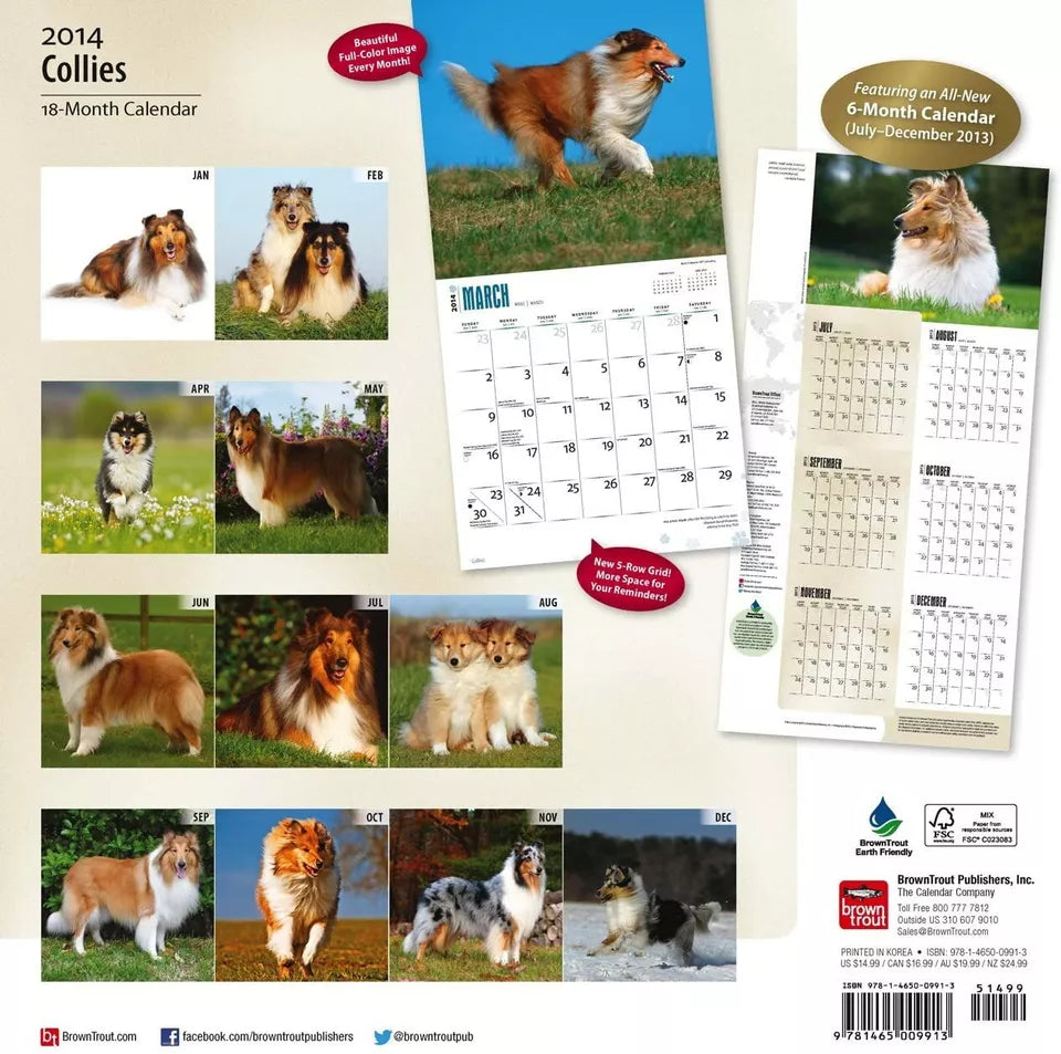 Collies 2014 Wall Calendar