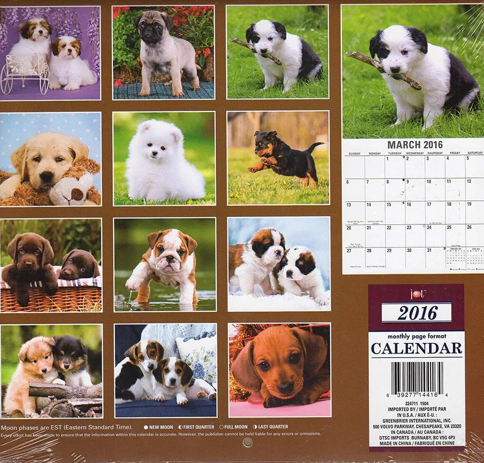 Puppies- 2016-12 Month Wall Calendar Plus Mini Calendar