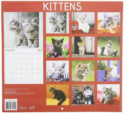 2015 Kittens 12x11 Vista Wall Calendar