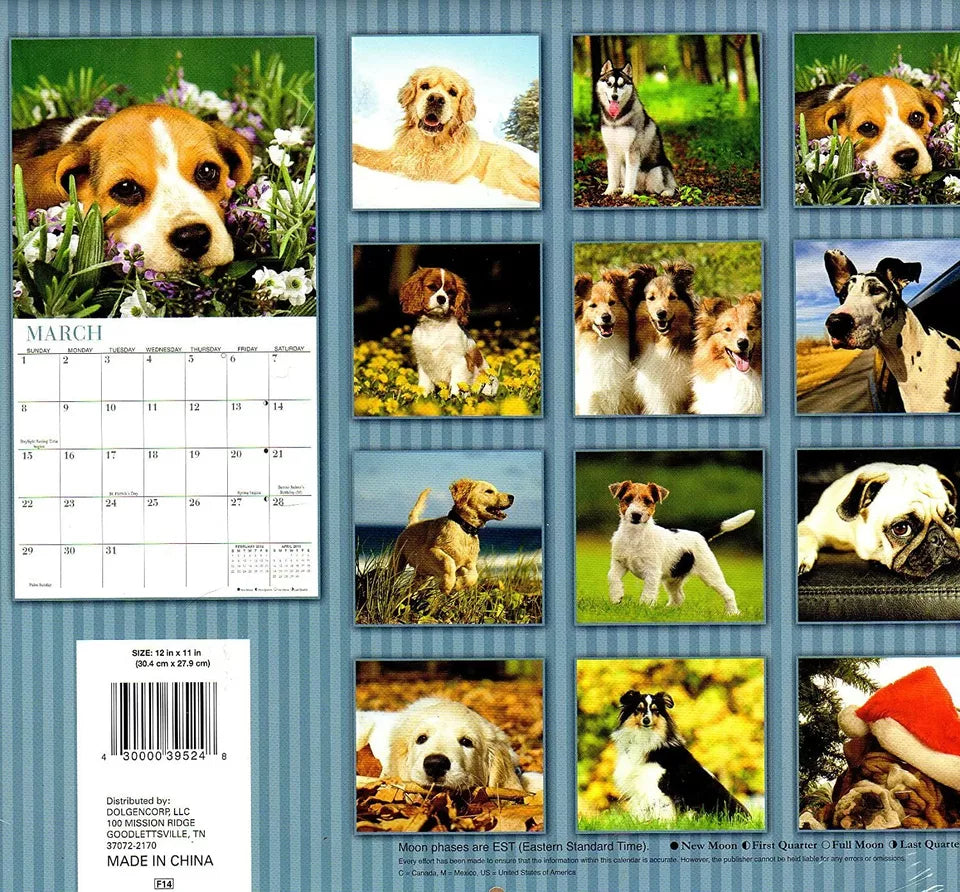 Dogs - 2015 16 Month Wall Calendar - 12x11