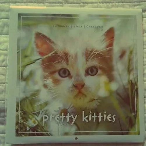 Pretty Kitties 16 Month Mini 2013 Wall Calendar 6x6