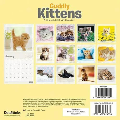 Cuddly Kittens 2014 Small Wall Calendar