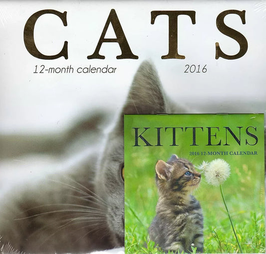 Cats - 2016-12 Month Wall Calendar Plus Mini Calendar