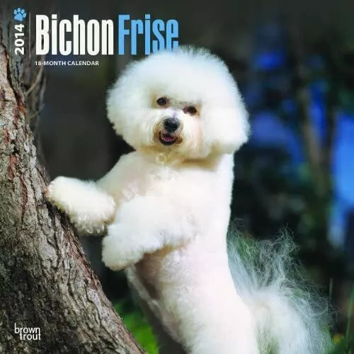 Bichon Frise - 2014 Calendar - 18 month by 2014 Calendars