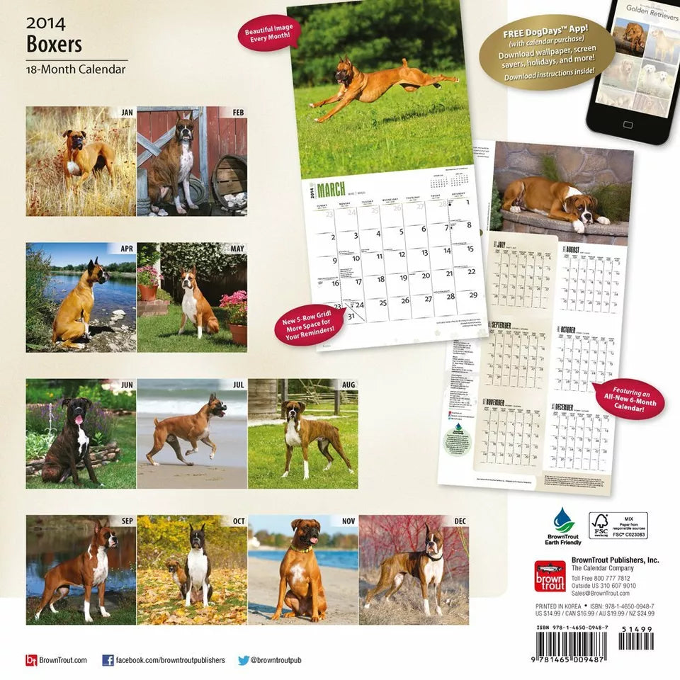 Boxers 18-Month 2014 Calendar