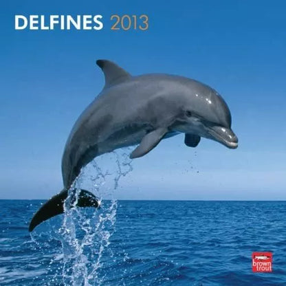 Delfines/Dolphins 2013 Wall Calendar 12" X 12"