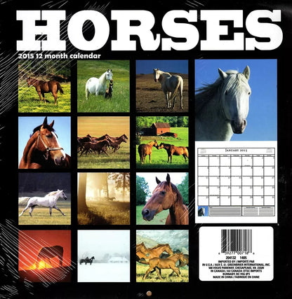 Horses - 2015 12 Month Wall Calendar