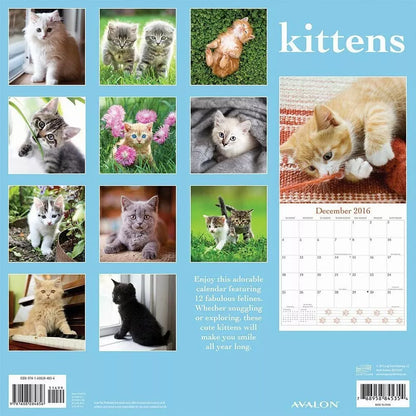 2016 Monthly Wall Calendar -Kittens - by Leap Year Publishing