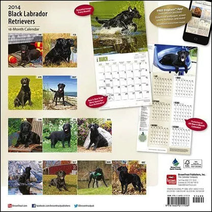 Labrador Retrievers, Black - 2014 Calendar