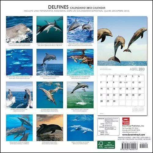 Delfines/Dolphins 2013 Wall Calendar 12" X 12"