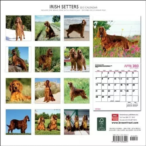 (12x12) Irish Setters - 2013 Wall Calendar