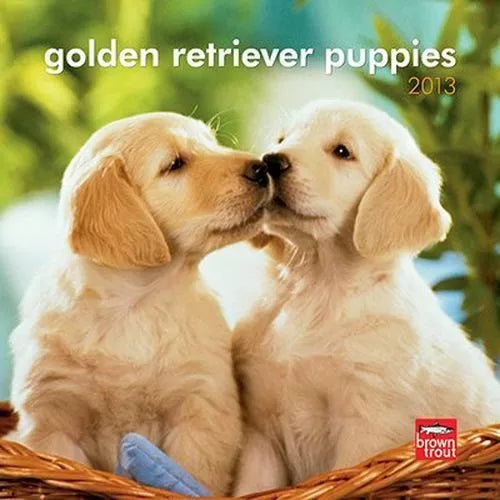 2013 Calendar Golden Retriever Puppies 2013 Mini Wall Calendar