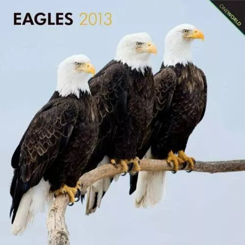 (12x12) Eagles - 2013 Wall Calendar