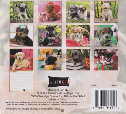 2015 16 Month Mini Wall Calendar (Puppies)