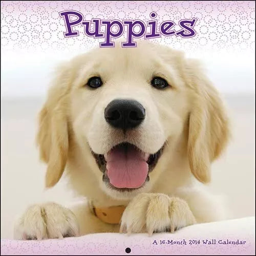 Puppies 2014 Wall Calendar