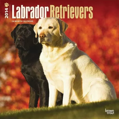 Labrador Retrievers - 2014 Calendar