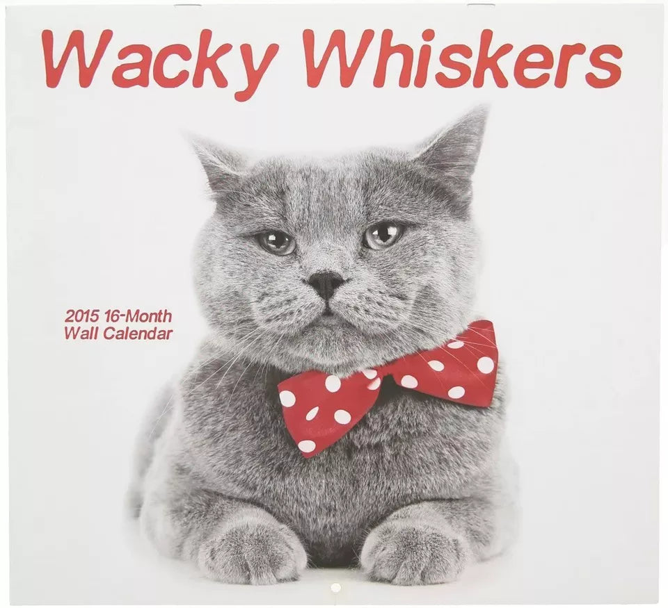 2015 Wacky Whiskers 12x11 Vista 16-Month Wall Calendar