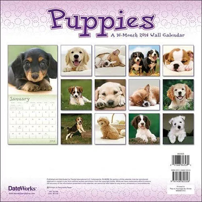 Puppies 2014 Wall Calendar